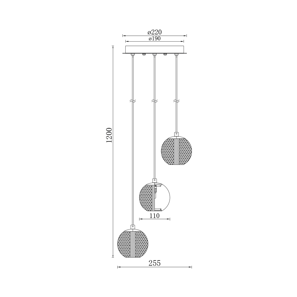 BV01-00011_4